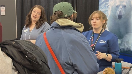 Young Calgarians on the hunt for jobs at hiring fair