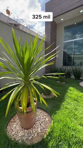 Os vídeos de Capital Brokers (@capitalbrokerss) com som original - Capital Brokers