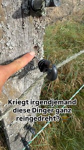 18K views · 786 reactions | The real Koppel Struggle 藍 #isolator #endgegner #pferdehaltung #koppelarbeit #zaunbau #pragmatisch #pferdefrau | Malik & Saskia | Facebook