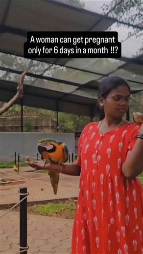 Dr.Devi Priya Rajasekar | Trying to get pregnant ?!!Understanding your fertile days can help 🔸Timing is important: Ovulation usually happens once in a cycle. A... | Instagram