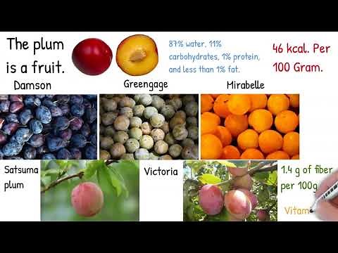 Plums and prunes - Best Fruit for Weight loss and Constipation. plums composition, calories