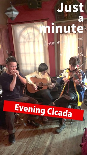 Evening Cicada #HarmonicaCreams #JustaMinute