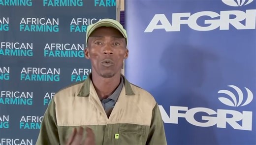 At our farmers’ day in Thaba Nchu, Free State on Tuesday, Maphuti Mongatane (African Farming's marketing and PR manager) had the opportunity to chat with Simphiwe Qusheka, a driven and enthusiastic aspiring farmer. He elaborated on his inventive strategy of leasing homes and stands from multiple families to grow cabbages and tomatoes, all while diligently pursuing opportunities to acquire more land for expanding his cherished agricultural venture. With a team of five employees, Simphiwe is also 