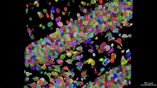 A protein tape-recorder enables scientists to measure and decode cellular processes at scale and over time