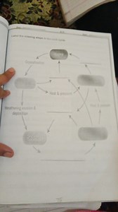 Label the missing steps in the rock cycleThe diagram shows a ... | Filo