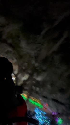 Fair warning: I am screaming my head off the entire time, but we loved every minute of it 😆🤪😂 This is a mini roller coaster called the LADYBUG at New Orleans City Park. Great place to take the kiddos!! We were at Celebration in the Oaks tonight. It was so much fun!! Look at the gorgeous Live Oaks and the Spanish Moss! ❤ ⚜️ #neworleans #nola #nolalove #nolaholidays #neworleanshchristmas #visitneworleans #neworleanslife #myneworleans #alwaysneworleans #onetimeinnola #midcitynola #celebrationint