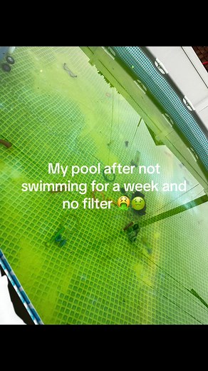 Pool maintenance is really hard! I used A broom to brush the sides and bottom until I couldnt see in the water anymore, the I added one gallon of shock, and 2 chlorine tablets, turned the filter on and let it run for 24hrs and I added another gallon of shock and this is 2-3 days later! Clear water! Still needs a little more work but clear. #poolcleaning #pool #shock #menards #chlorinetablets #filter #clearwater #green #algae