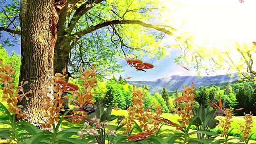 Awesome Beauty of Nature