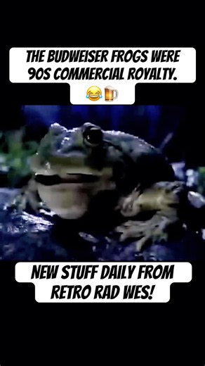 The Budweiser Frogs Were 90s Commercial Royalty 🍺 #BudweiserFrogs #90sCommercials #90s #beer