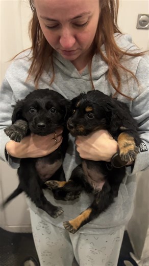 Этот сериал продолжается: новые серии и сюжеты