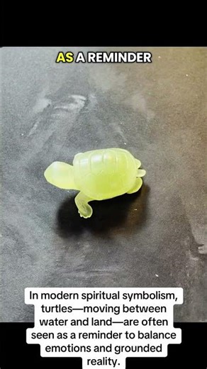 The Turtle Between Two Worlds 🐢🌊🌍