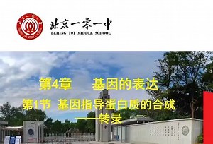 基因指导蛋白质的合成-转录和翻译