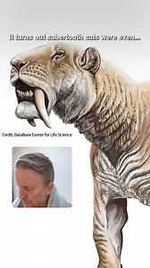 514K views · 7K reactions | Smilodon had two pairs of saber-teeth…at the same time! #sabertooth | Eons • PBS | Facebook