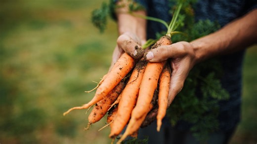 Follow this color rule while grocery shopping to pick the best carrots