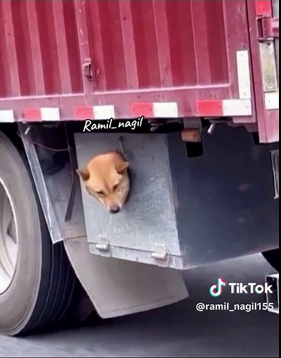 #ramil_nagil | TikTok