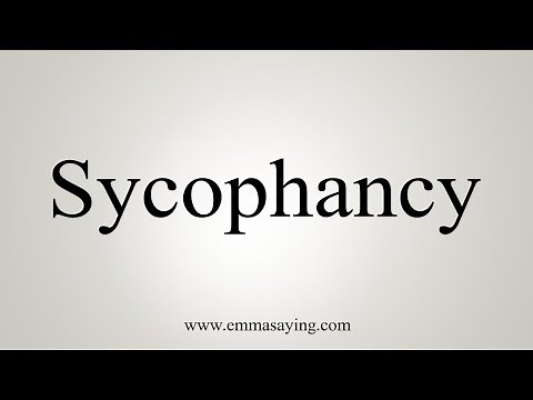 How To Say Sycophancy