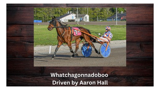 A look back on harness racing at Cumberland Raceway on May 16th, 2025. I hope you folks enjoy looking back at some exciting harness racing from earlier this year! To see more harness racing photography and to order prints, visit: www.joeshawphotography.com | First Tracks Cumberland