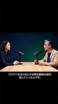 都市は“野生”を取り戻せるか？｜カワウソが案内するシンガポールの未来/Can Cities Reclaim the Wild?｜Singapore