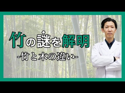 【DIYや建材で注目されている「竹」】使用する際に注意すべきポイントとは！？メリットデメリットをご紹介！