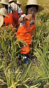 810K views · 4.7K reactions | Crab Farming: A Profitable and Eco-Friendly Approach #CrabFarming #EcoFriendlyFarming #SustainableAgriculture #ChinaFarming #OrganicPestControl | Satisfying Videos | Facebook