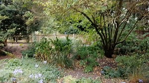 Botanic Garden Cambridge