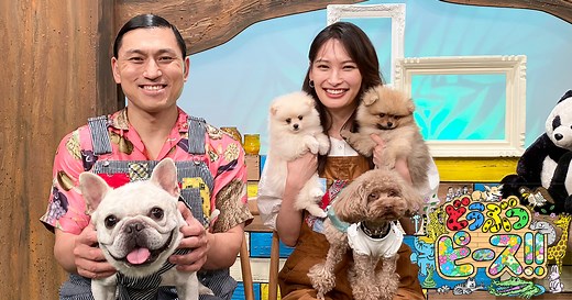 犬編（125）今週の赤ちゃん：肉球で風景画 - どうぶつピース！！かわいい大図鑑｜ネットもテレ東