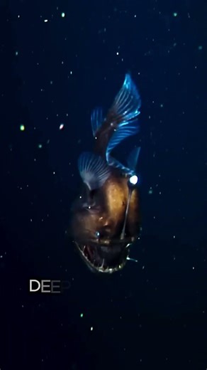 Scientists Found This In The Deep Ocean #shorts