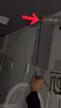 【ゴキブリ】家に出た巨大ゴキブリを生け捕り捕獲する装置の作り方 #shorts #diy #害虫駆除