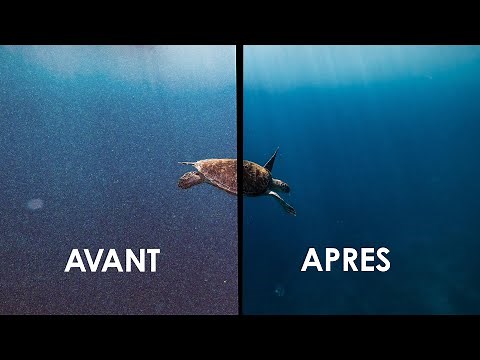 REDUIRE le BRUIT NUMERIQUE (GRAIN) avec NEAT VIDEO