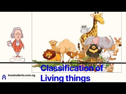 1.2 Concept and Use of Classification (GCSE/IGCSE 0610)