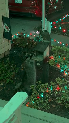 Alisa Collins on Reels