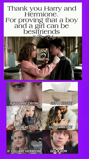 "platonic "Thank You Harry & Hermione For This 🥹 | Best Friends#platonic#bestfriends#harry #memes