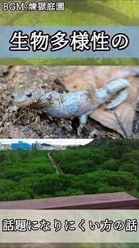 【解説】生物多様性の要素は3つある #環境