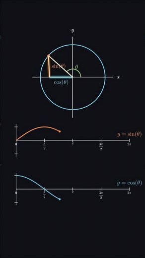 Sine and cosine. #math #circle