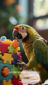 The Brilliant & Beautiful Masters of Tropical Ecosystems