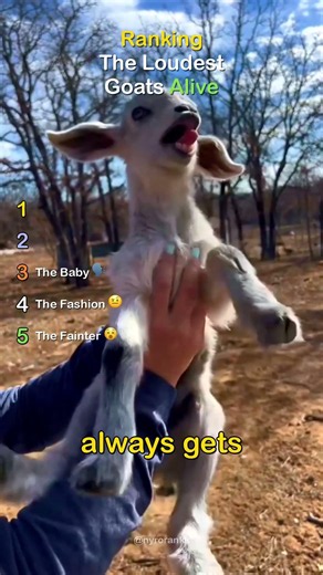 Ranking The Loudest Goats Alive