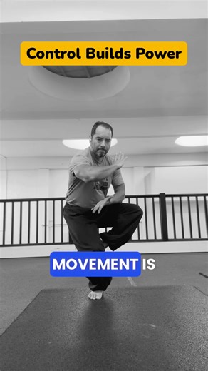 Control Builds Power #martialartstraining #movement