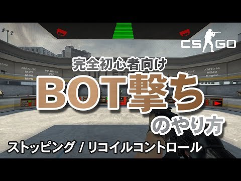 【CSGO】完全初心者向けBOT撃ちのやり方　ストッピング・リコイルコントロールの練習方法