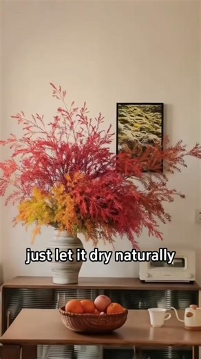 11K views · 105 reactions | Melaleuca bracteata, commonly known by several names including black tea-tree, river tea-tree, mock olive, or white cloud tree, is a species of plant in the myrtle family (Myrtaceae). It is a native of northern Australia and is known for its adaptability and hardiness. | Ramos Mark | Facebook