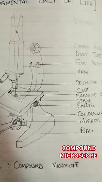 CLASS 9 SCIENCE BIOLOGY CHAPTER 5 THE FUNDAMENTAL UNIT OF LIFE DIAGRAM OF COMPOUND MICROSCOPE #ncert