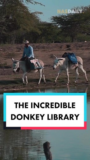 The Incredible Donkey Library #nasdaily #1minute #people #travel #donkeylibrary #library #innovation #interesting #colombia #jungle #africa