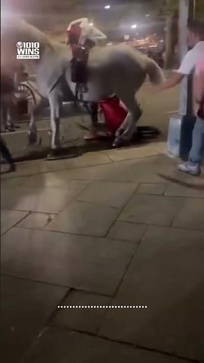 Advocates renew calls for NYC carriage ban after video shows collapsed horse