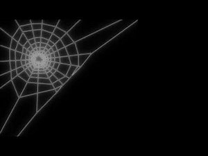 Spider Web Neon Light Overlay