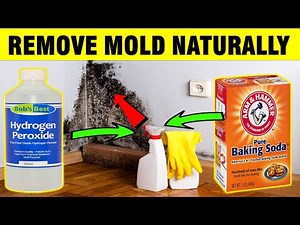 How To Remove Mold Naturally