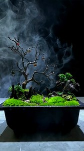 1.4K views · 49 reactions | Creative Ideas Micro Moss Landscape #amazingvideo #Awesome #moss #nature #plants #green #naturephotography #aquascape #mossart #photography #trees #mossterrarium #indoorplants #art #tree #plant #mosswall #vivarium #homedecor #terrariums #macro #handmade #naturelovers #garden #lichen #plantedtank #interiordesign #microlandscape #landscape | Moss CraftIdeas | Facebook