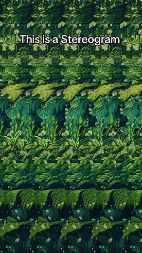 Discover Hidden Animals in Stereograms