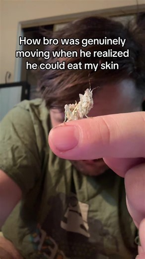 The Gentle Mantis: A Unique Feeding Interaction