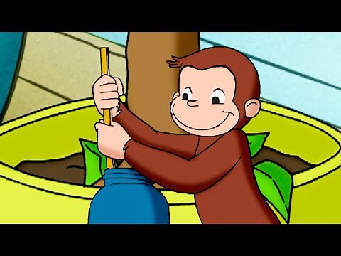 ¡A alimentar las plantas! | Jorge El Curioso En Español