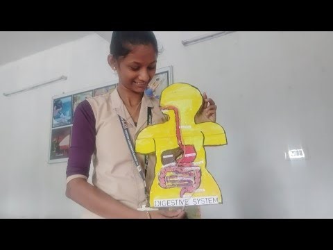 Digestive system project presentation @ Vivid Vision