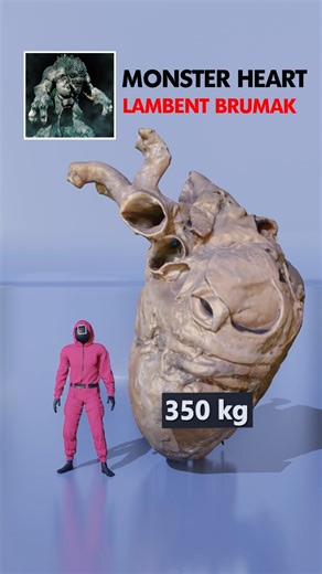 1.4M views · 11K reactions | MONSTER HEART size comparison Smallest to largest | Weird Data | Facebook